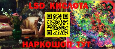PSILOCYBIN Брянск