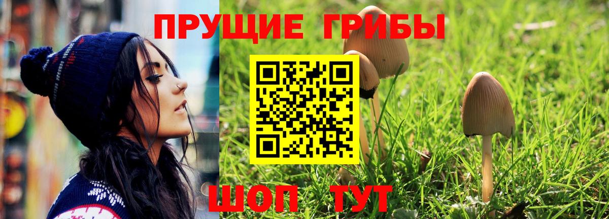 Десногорск  Псилоцибиновые грибы мухоморы  Вход с VPN 
