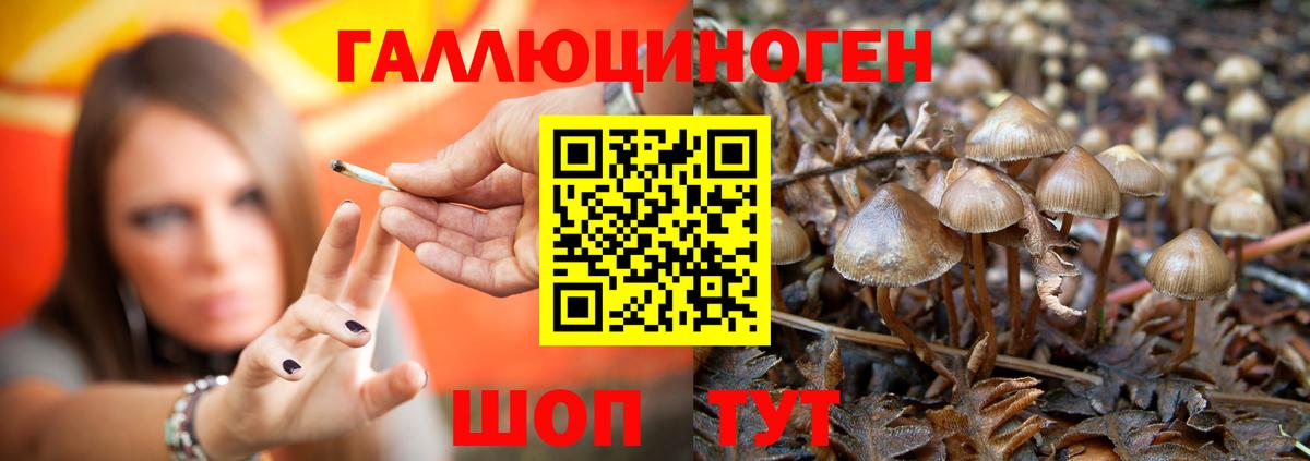 Псилоцибиновые грибы ЛСД Десногорск